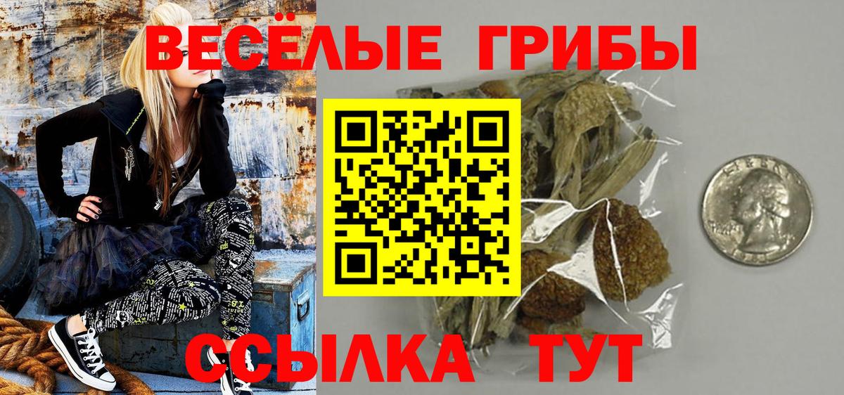 Псилоцибиновые грибы GOLDEN TEACHER  Галлюциногенные грибы Cubensis  Крымск  Вход с VPN 