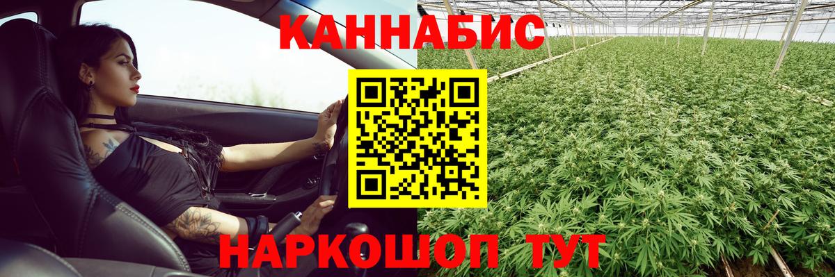 Канабис сатива Крымск